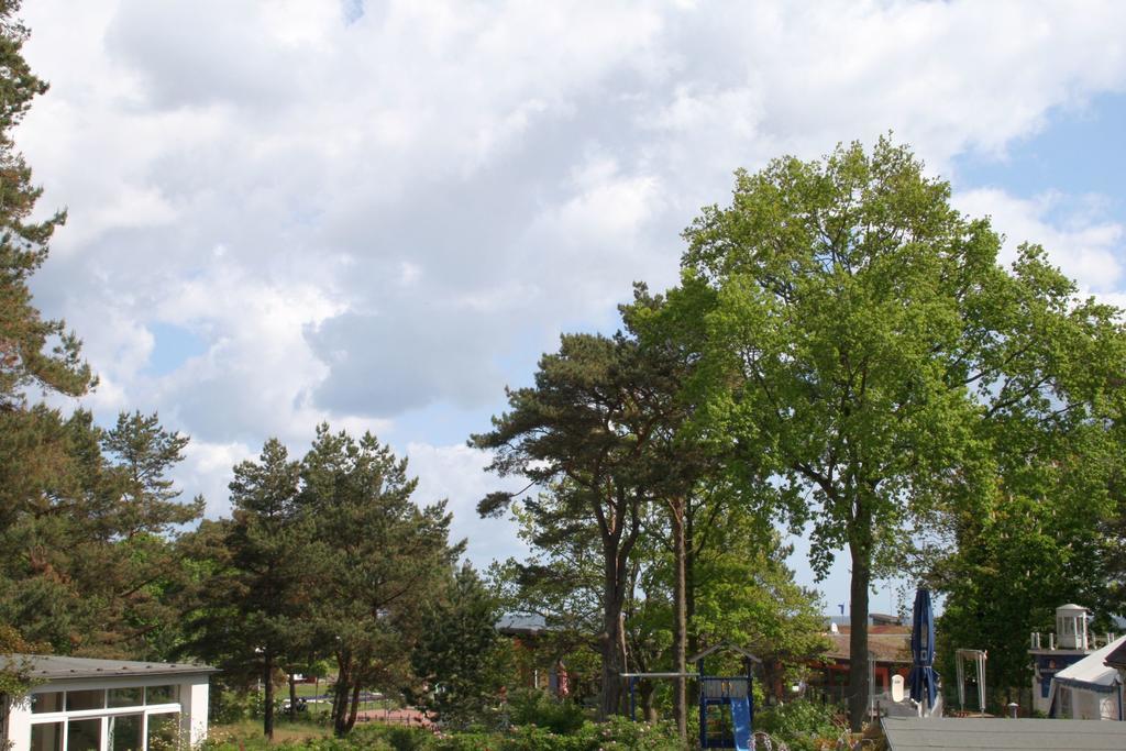 Haus Strandkiefer Villa